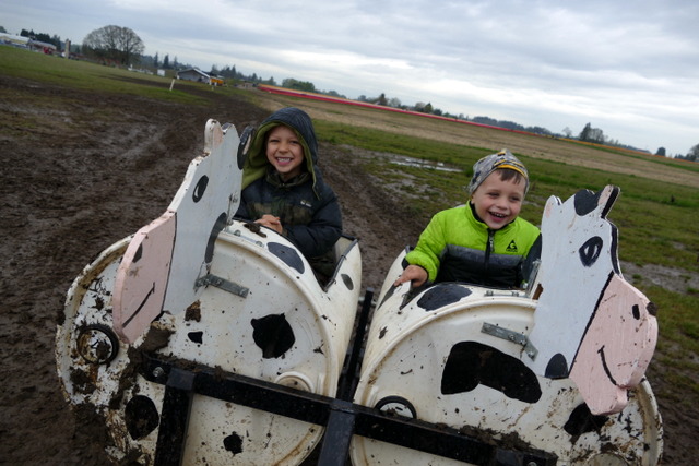 Field Trip to the Tulip Farm