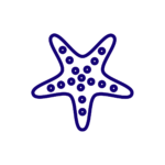 noun_Starfish_1977142(1)